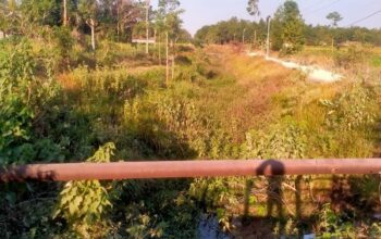 Baru Direhab Kini Irigasi di Sampang Kembali Semrawut, Bukti Lemahnya Tanggung Jawab Pemda