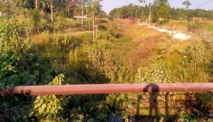 Baru Direhab Kini Irigasi di Sampang Kembali Semrawut, Bukti Lemahnya Tanggung Jawab Pemda