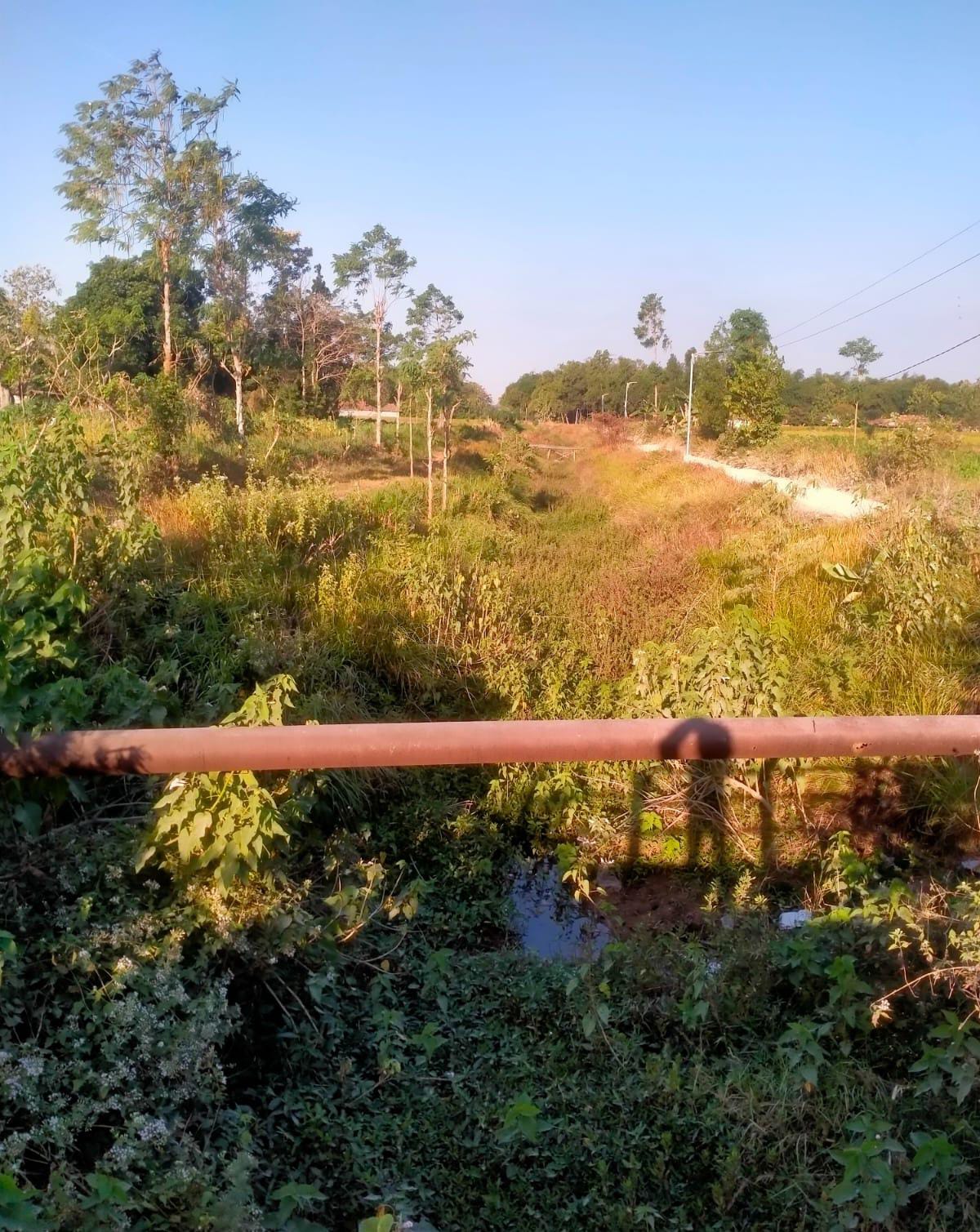 IMG 20260810 WA0104