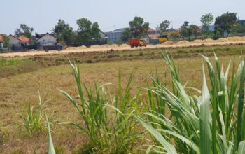 Tepis isu Pihak Ketiga, Pembelian Tanah Eks. Percaton di Sampang Sesuai Prosedur