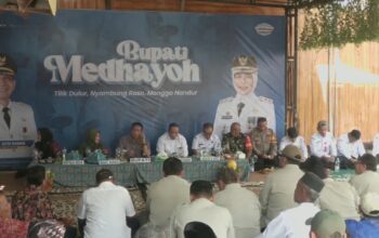 IMG 20260812