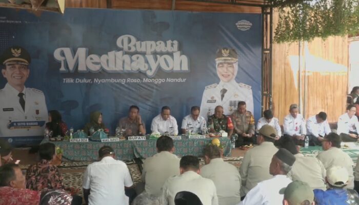 Medhayoh di Desa Cengkir, Bupati dan Wabup Bojonegoro Panen Tembakau Hingga Tinjau Pembangunan Embung Seri