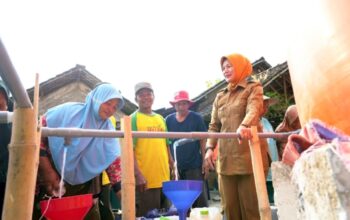 IMG 20260909 WA0109