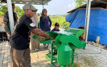 Jelang Hari Kesaktian Pancasila, Electrifying Agriculture PLN Bantu Jaga Produktivitas Petani di Musim Kemarau