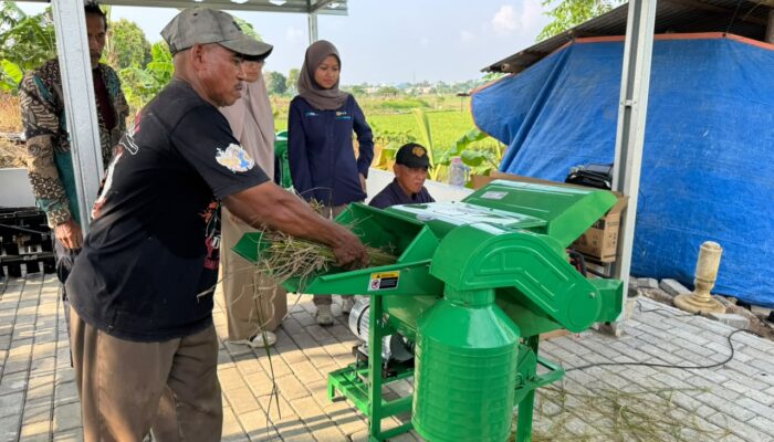 Jelang Hari Kesaktian Pancasila, Electrifying Agriculture PLN Bantu Jaga Produktivitas Petani di Musim Kemarau