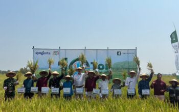 Dorong Pertanian Berkelanjutan, Syngenta dan TerraBaru Edukasi 250 Petani MAJU 10 Ton di Ngawi