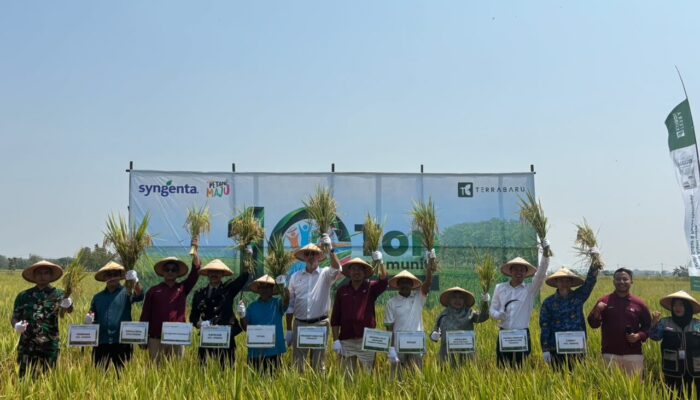 Dorong Pertanian Berkelanjutan, Syngenta dan TerraBaru Edukasi 250 Petani MAJU 10 Ton di Ngawi