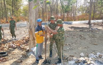 Wujudkan Lingkungan Asri, Yonif TP-885/Belibis Putih dan DLH Bojonegoro Tanam 500 Pohon