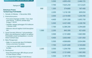 Semangat Hari Sumpah Pemuda, Sambut Hari Listrik Nasional, PLN Hadirkan Diskon Tambah Daya 50 Persen melalui Program Energi Berdikari