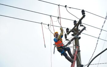 Semangat Hari Sumpah Pemuda, Rampingkan Anak Usaha, PLN Hadirkan PLN Services untuk Meningkatkan Layanan ke Masyarakat