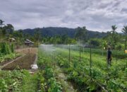 WhatsApp Image 2026 10 12 at 17.15.53 (2)